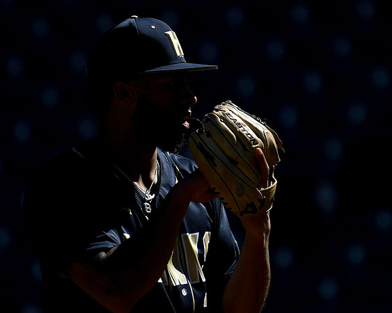 Sports Photography Coverage In Tampa