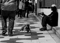 The Thin Line Project
